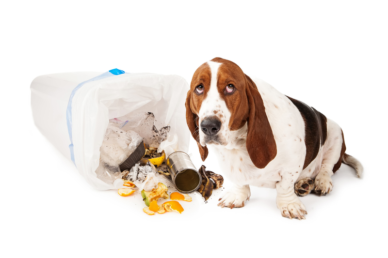 Eco-Friendly Waste Collection Services Benefit Your Business
